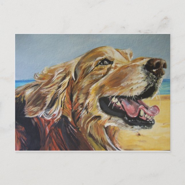 Cartão Postal Retriever de ouro (Frente)