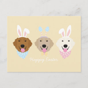Cartão Postal Retriever de Ouro Bunny do felz pascoa