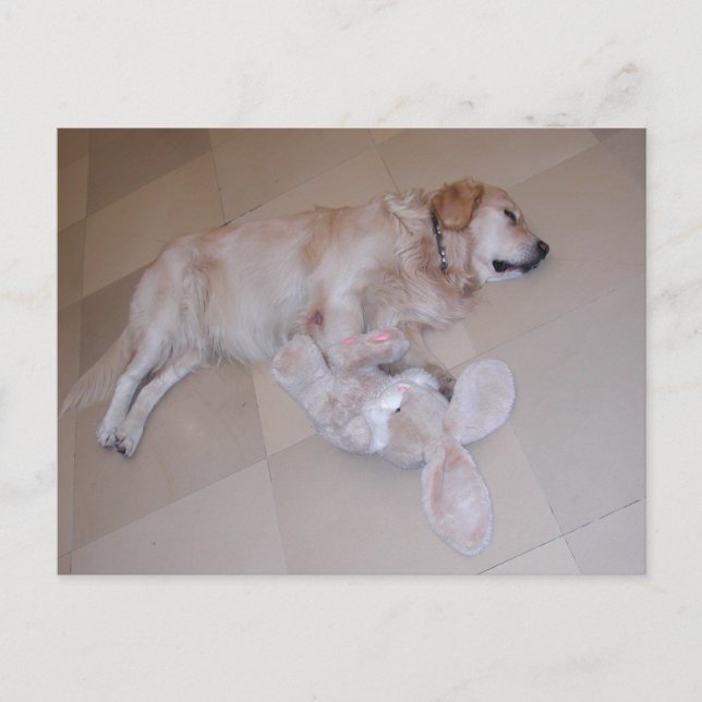 Cartão Postal Retriever De ouro Com Coelhinho De Páscoa (Frente)