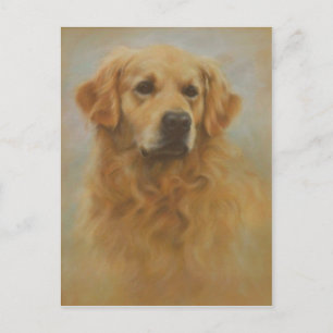 Cartão Postal Retriever Dourado