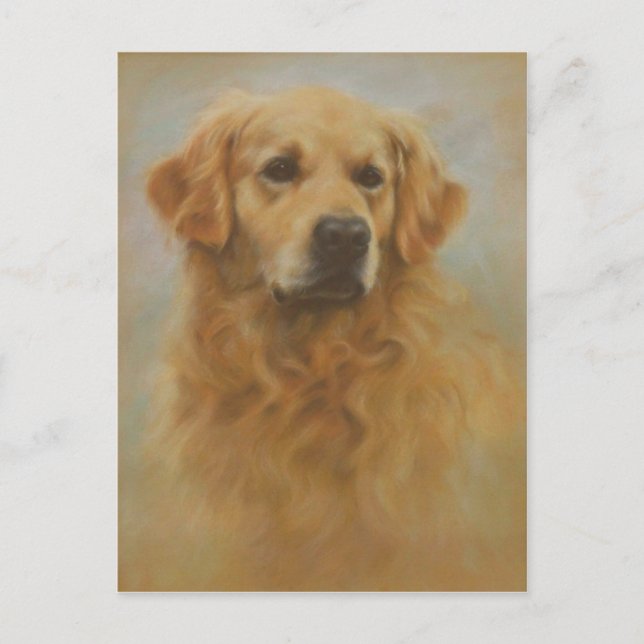 Cartão Postal Retriever Dourado (Frente)