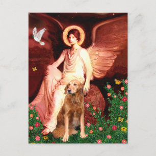 Cartão Postal Retriever Dourado 9 - Anjo Sentado