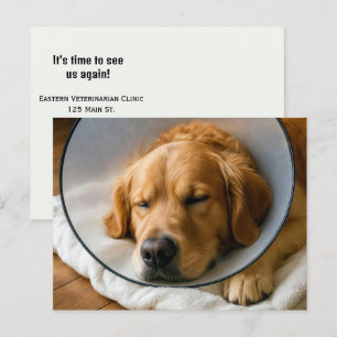 Cartão Postal Retriever Dourado Vestindo um Cone de Vergonha
