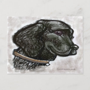 Cartão Postal Retriever Labrador