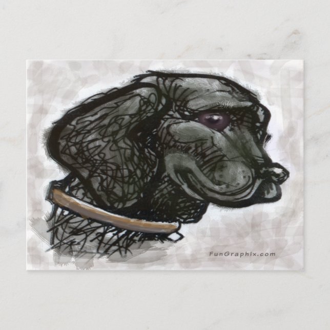 Cartão Postal Retriever Labrador (Frente)