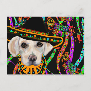 Cartão Postal Retriever Labrador
