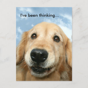 Cartão Postal Retriever ouro que estive pensando