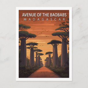 Cartão Postal Retro Avenida dos Baobás Madagascar Natureza