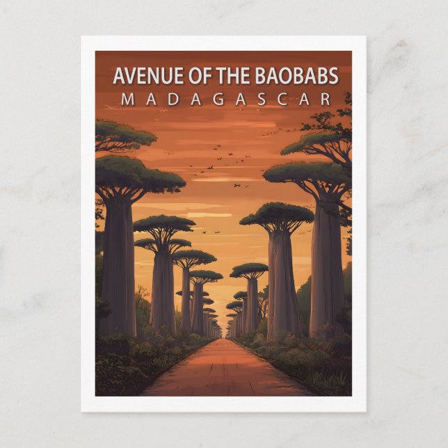 Cartão Postal Retro Avenue of the Baobabs Madagascar Nature (Frente)