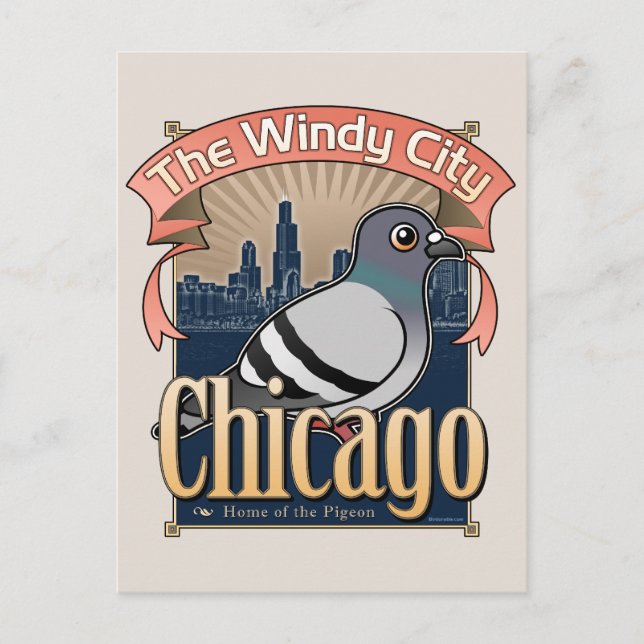Cartão Postal Retro Chicago Pigeon (Frente)
