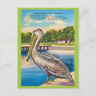 Cartão postal retrô da Flórida