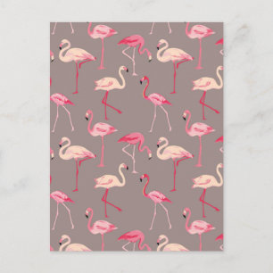 Cartão Postal Retro Flamingos 2