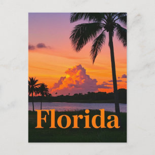 Cartão Postal Retro Florida Sunset: A Vintage Paradise