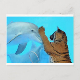 Cartão Postal Reunião do golfinho e do tigre