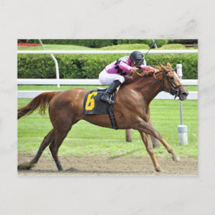 Cartão Postal Revisão do Livro