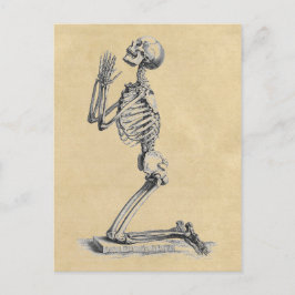 Cartão Postal Rezando Anatomia do Esqueleto dos Ossos