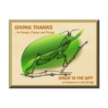 Rezando Mantis Dando Obrigados