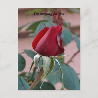 Cartão Postal rezando por você