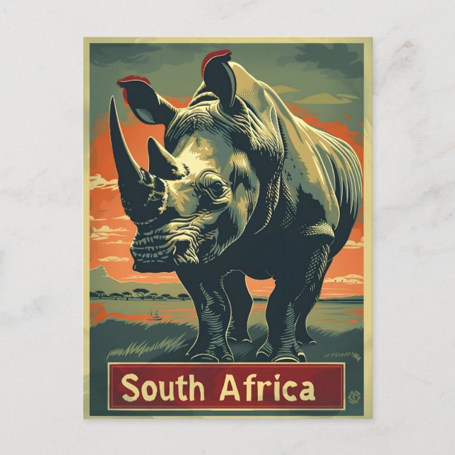 Cartão Postal Rhino South Africa Vintage (Frente)
