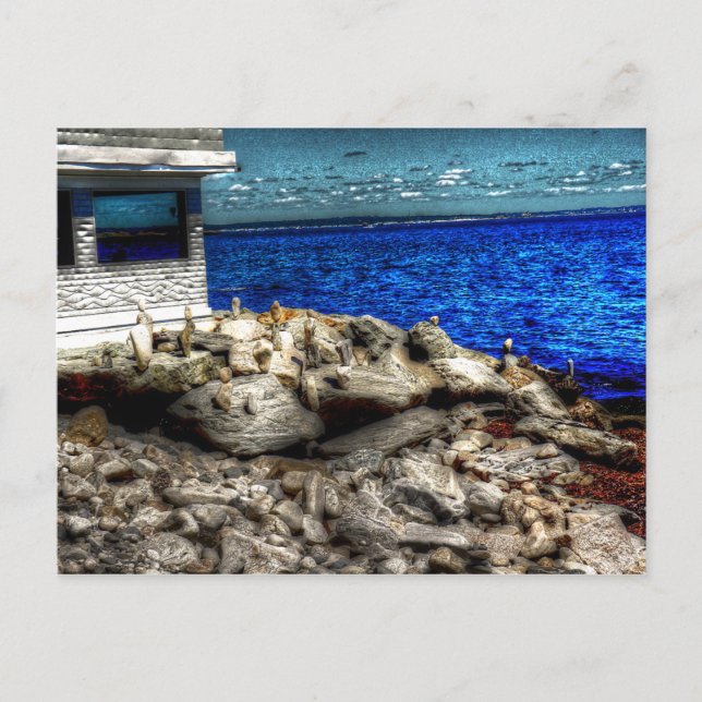 Cartão Postal Rhode Island, Imagem de Narragansett (Frente)