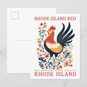 Cartão Postal Rhode Island Red Bird of Rhode Island Viagem