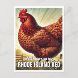 Cartão Postal Rhode Island State Bird Rhode Island Red
