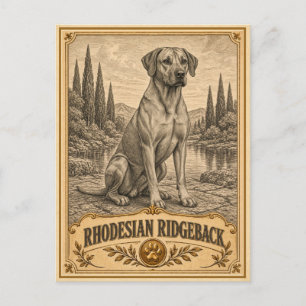 Cartão Postal Rhodesian Ridgeback, Coleção Patrimônio Antigo de