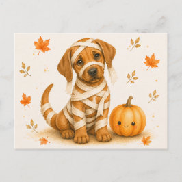 Cartão Postal Rhodesian Ridgeback Múmia Halloween