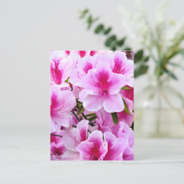 Cartão Postal Rhododendron Hirado Azarea