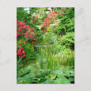 Cartão postal RI Garden