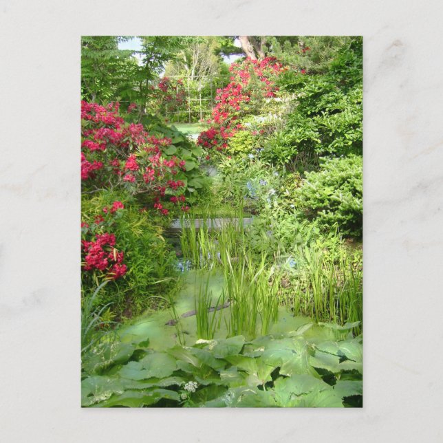 Cartão postal RI Garden (Frente)
