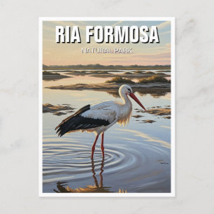 Cartão Postal Ria Formosa Natural Park Portugal Viagem