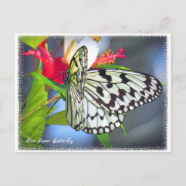 Cartão Postal Rice Paper Butterfly ポストカード
