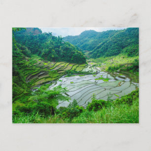 Cartão Postal Rice terrace landscape, Philippines