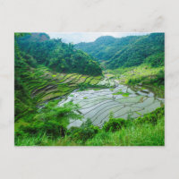 Rice terrace landscape, Philippines