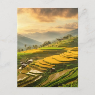 Cartão Postal Rice Terraces Sunrise