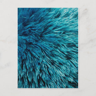 Cartão Postal Rich Turquoise