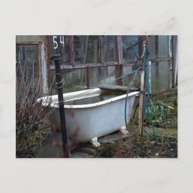 Cartão Postal Rico banho? (Frente)