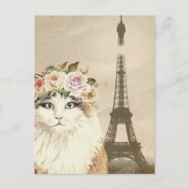 Cartão Postal Rico Cat e Torre Eiffel