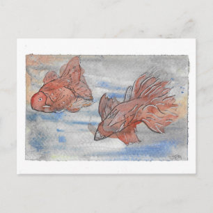 Cartão Postal Rico Fishes