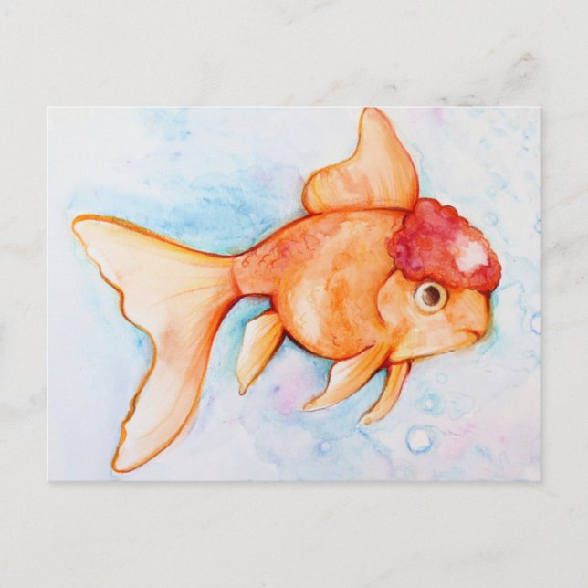 Cartão Postal Rico Oranda Goldfish (Frente)