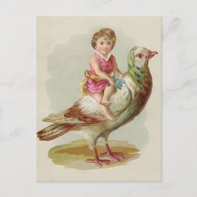 Cartão Postal Rider Postcard (Frente)