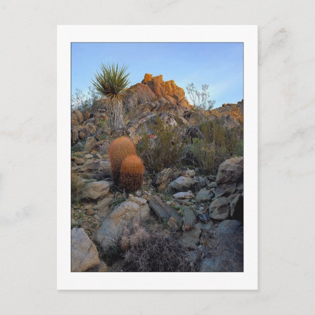 Cartão Postal "Ridge Route Colors" (Frente)