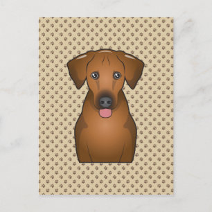 Cartão Postal Ridgeback Cartoon
