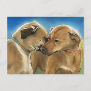 Cartão Postal Ridgeback, Ridgeback, Ridgeback, "Reunião Mãe e