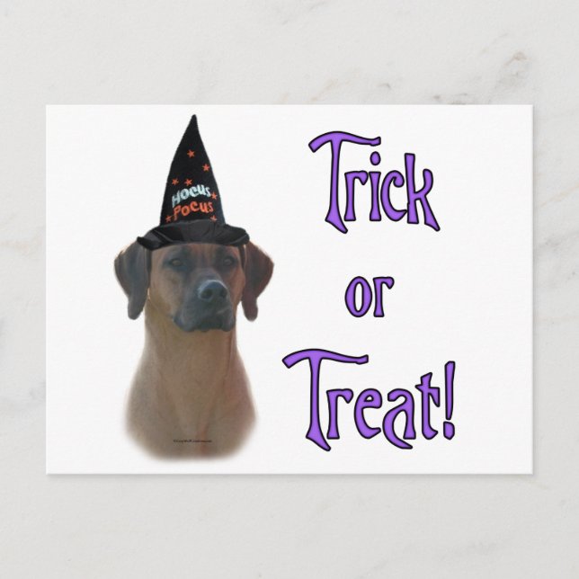 Cartão Postal Ridgeback Trick (Frente)