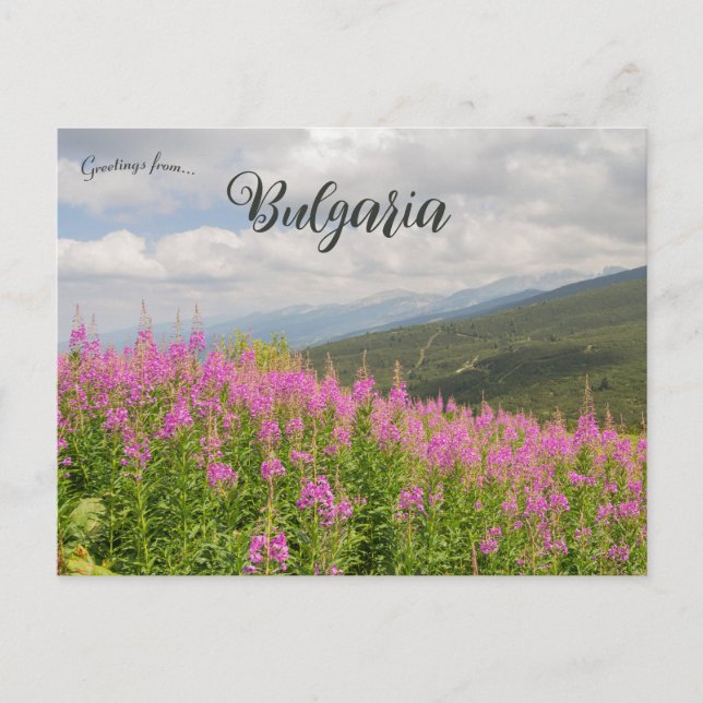 Cartão Postal Rila Mountains and Pink Flowers in Bulgaria (Frente)