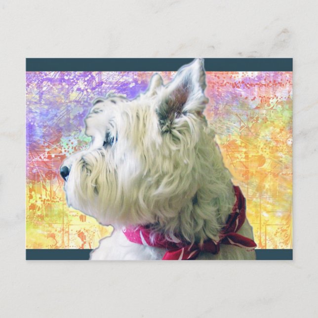 CARTÃO POSTAL RILEY A COR (Frente)