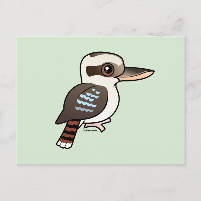 Cartão Postal Rindo Kookaburra (Frente)