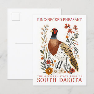 Cartão Postal Ring Necked Pheasant de Dakota do Norte Viagem